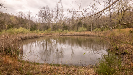 Country Home in the Arkansas Ozarks | Williford - image 39