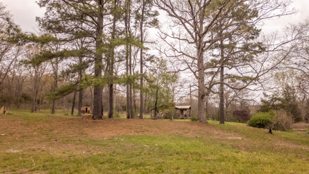 Country Home in the Arkansas Ozarks | Williford - image 34