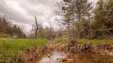 Country Home in the Arkansas Ozarks | Williford - image 36