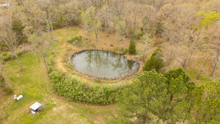 Country Home in the Arkansas Ozarks | Williford - image 46