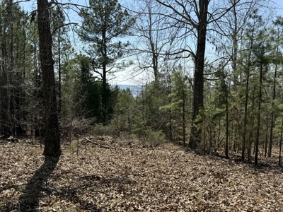 Three Acre Lot overlooking Lake Norfork - image 20
