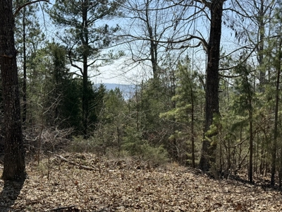 Three Acre Lot overlooking Lake Norfork - image 21