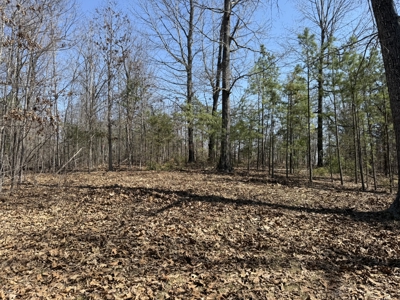 Three Acre Lot overlooking Lake Norfork - image 27