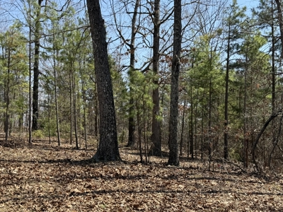 Three Acre Lot overlooking Lake Norfork - image 32