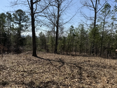 Three Acre Lot overlooking Lake Norfork - image 17