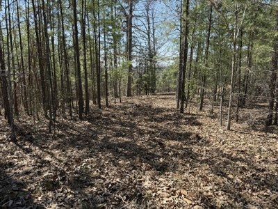 Three Acre Lot overlooking Lake Norfork - image 30