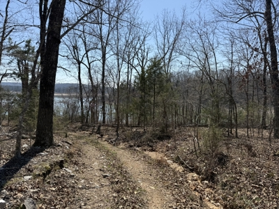 Three Acre Lot overlooking Lake Norfork - image 4