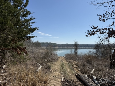 Three Acre Lot overlooking Lake Norfork - image 5