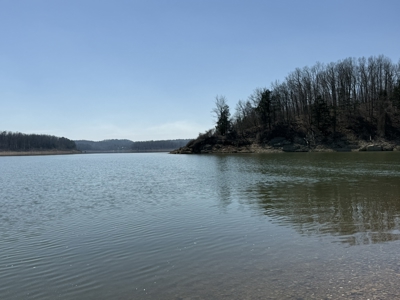 Three Acre Lot overlooking Lake Norfork - image 11