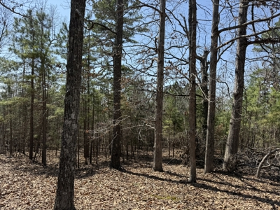 Three Acre Lot overlooking Lake Norfork - image 25