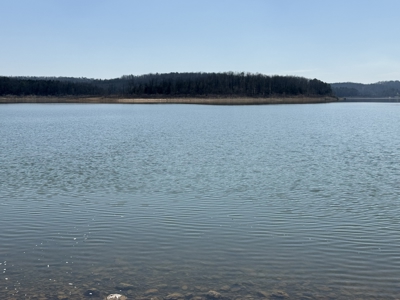 Three Acre Lot overlooking Lake Norfork - image 15