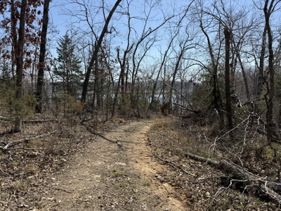 Three Acre Lot overlooking Lake Norfork - image 2