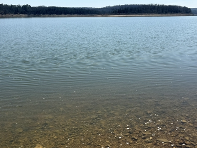 Three Acre Lot overlooking Lake Norfork - image 10