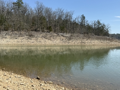 Three Acre Lot overlooking Lake Norfork - image 9