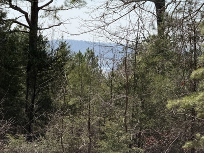 Three Acre Lot overlooking Lake Norfork - image 19