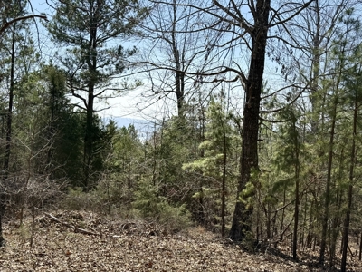 Three Acre Lot overlooking Lake Norfork - image 18