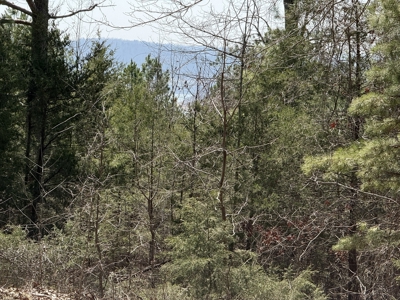 Three Acre Lot overlooking Lake Norfork - image 1