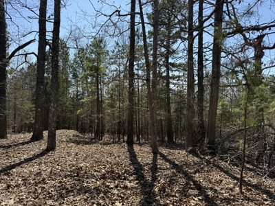Three Acre Lot overlooking Lake Norfork - image 28