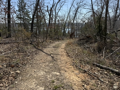 Three Acre Lot overlooking Lake Norfork - image 3