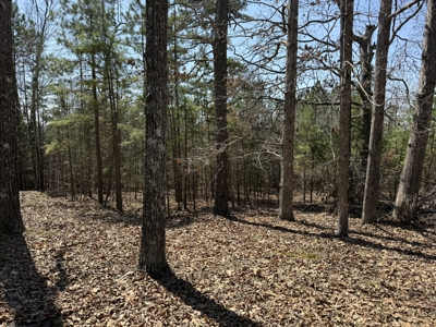 Three Acre Lot overlooking Lake Norfork - image 26