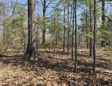 Three Acre Lot overlooking Lake Norfork - image 35