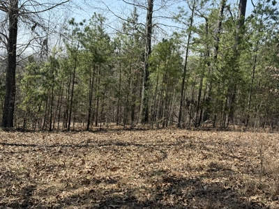 Three Acre Lot overlooking Lake Norfork - image 24