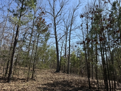 Three Acre Lot overlooking Lake Norfork - image 31