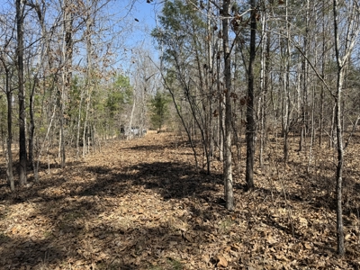 Three Acre Lot overlooking Lake Norfork - image 29