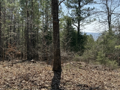 Three Acre Lot overlooking Lake Norfork - image 22