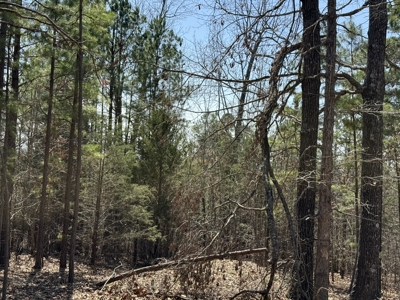 Three Acre Lot overlooking Lake Norfork - image 34