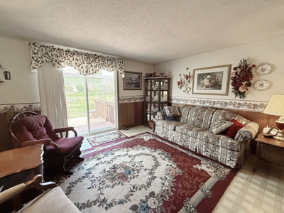 El Dorado Springs Home in Town for Sale, Cedar County MIssouri - image 21