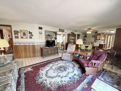 El Dorado Springs Home in Town for Sale, Cedar County MIssouri - image 23