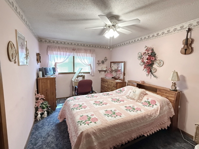 El Dorado Springs Home in Town for Sale, Cedar County MIssouri - image 28