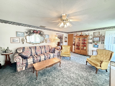 El Dorado Springs Home in Town for Sale, Cedar County MIssouri - image 7