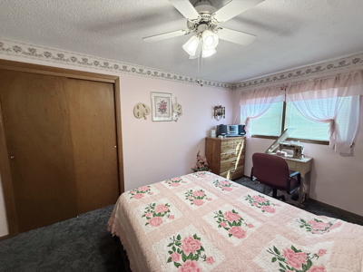El Dorado Springs Home in Town for Sale, Cedar County MIssouri - image 29