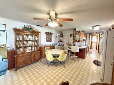 El Dorado Springs Home in Town for Sale, Cedar County MIssouri - image 9