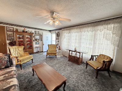 El Dorado Springs Home in Town for Sale, Cedar County MIssouri - image 6