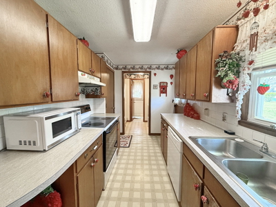 El Dorado Springs Home in Town for Sale, Cedar County MIssouri - image 13