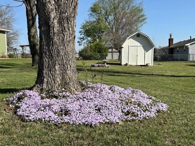 El Dorado Springs Home in Town for Sale, Cedar County MIssouri - image 34