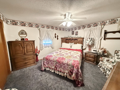 El Dorado Springs Home in Town for Sale, Cedar County MIssouri - image 26