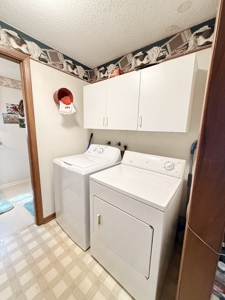 El Dorado Springs Home in Town for Sale, Cedar County MIssouri - image 16