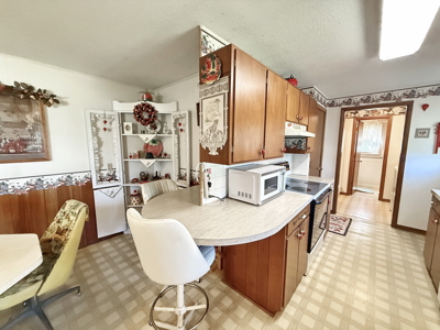 El Dorado Springs Home in Town for Sale, Cedar County MIssouri - image 11