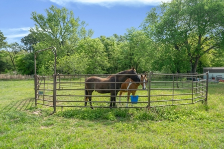23.5 Acres 4BR-2BA Home Large Pond, Pasture in Winnsboro Texas - image 39