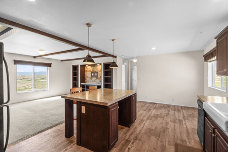 Colorado Home on Acreage with Commercial Shop, next to BLM - image 11