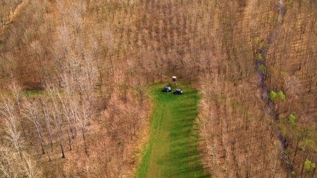 1,196+/- Acre Deer & Duck Hunting Paradise Tensas Parish, LA - image 41