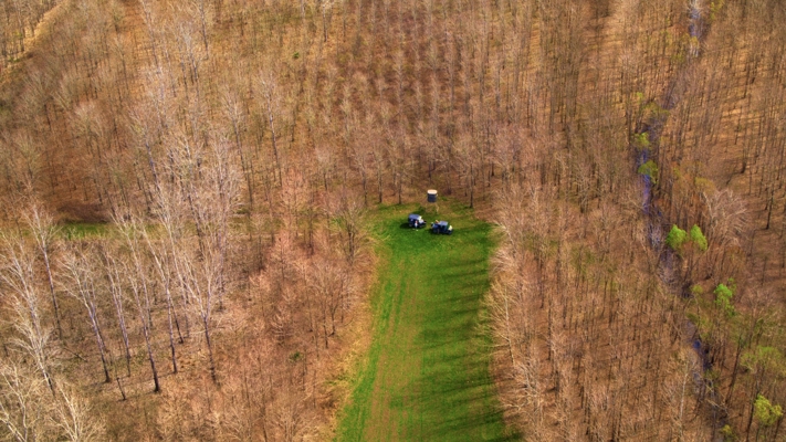 1,196+/- Acre Deer & Duck Hunting Paradise Tensas Parish, LA