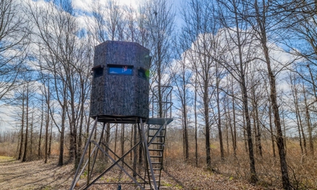 1,196+/- Acre Deer & Duck Hunting Paradise Tensas Parish, LA - image 9