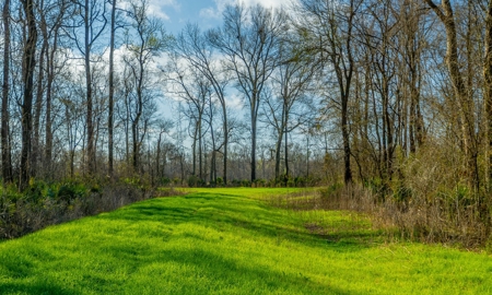 1,196+/- Acre Deer & Duck Hunting Paradise Tensas Parish, LA - image 3