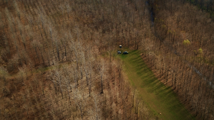1,196+/- Acre Deer & Duck Hunting Paradise Tensas Parish, LA