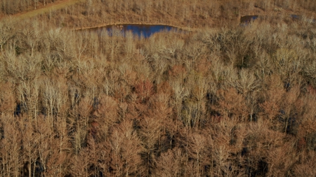 1,196+/- Acre Deer & Duck Hunting Paradise Tensas Parish, LA - image 36